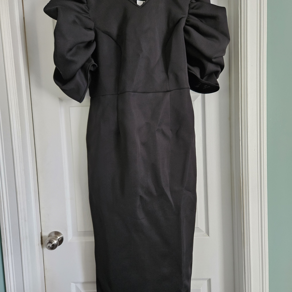 Elegant Black Puff Sleeve Dress